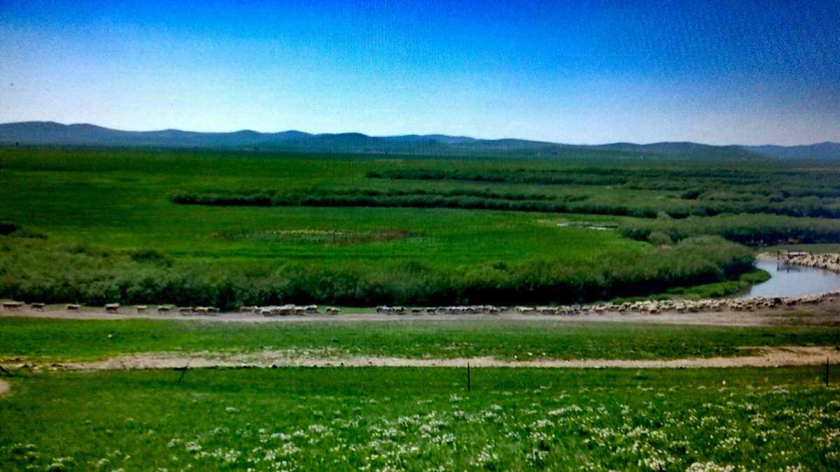 [landscape的意思]landscapes是什么意思英语