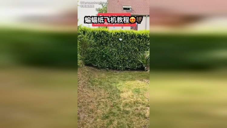 [纸飞机资源群国外]纸飞机github