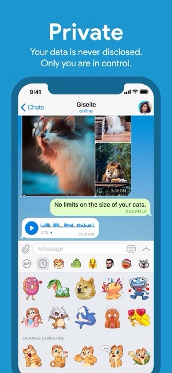 纸飞机中文下载社交app-纸飞机中文版下载社交app
