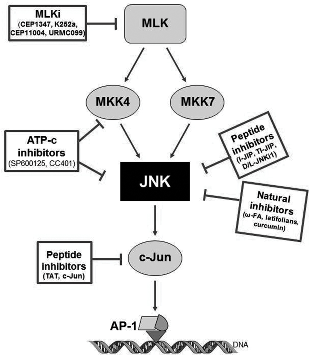 as2in1注册下载-as2in1怎么用中国手机号注册
