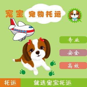 宠物托运能到付吗?-宠物托运能货到付款吗