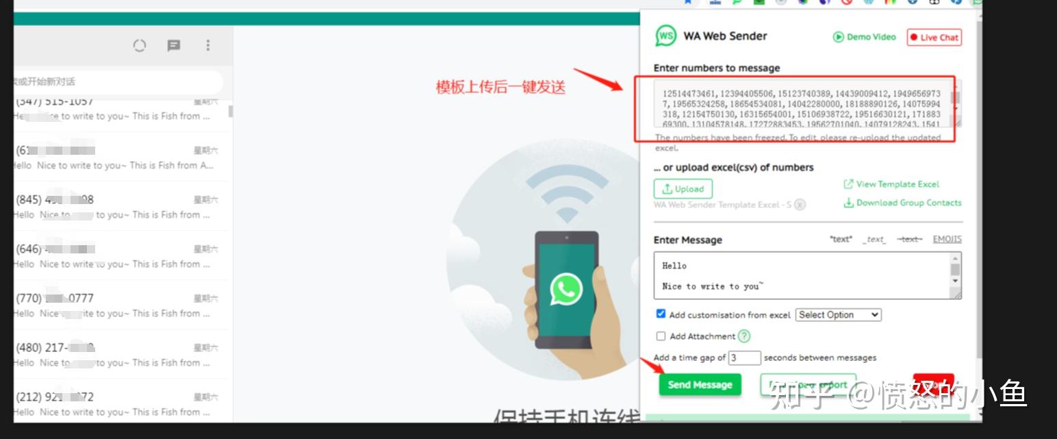 包含whatsapp怎么才能在中国用的词条