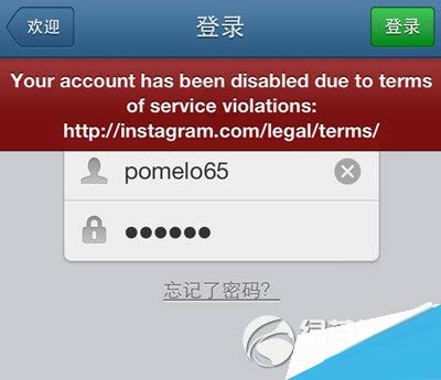 instagram怎么读音标-instagram怎么读音发音