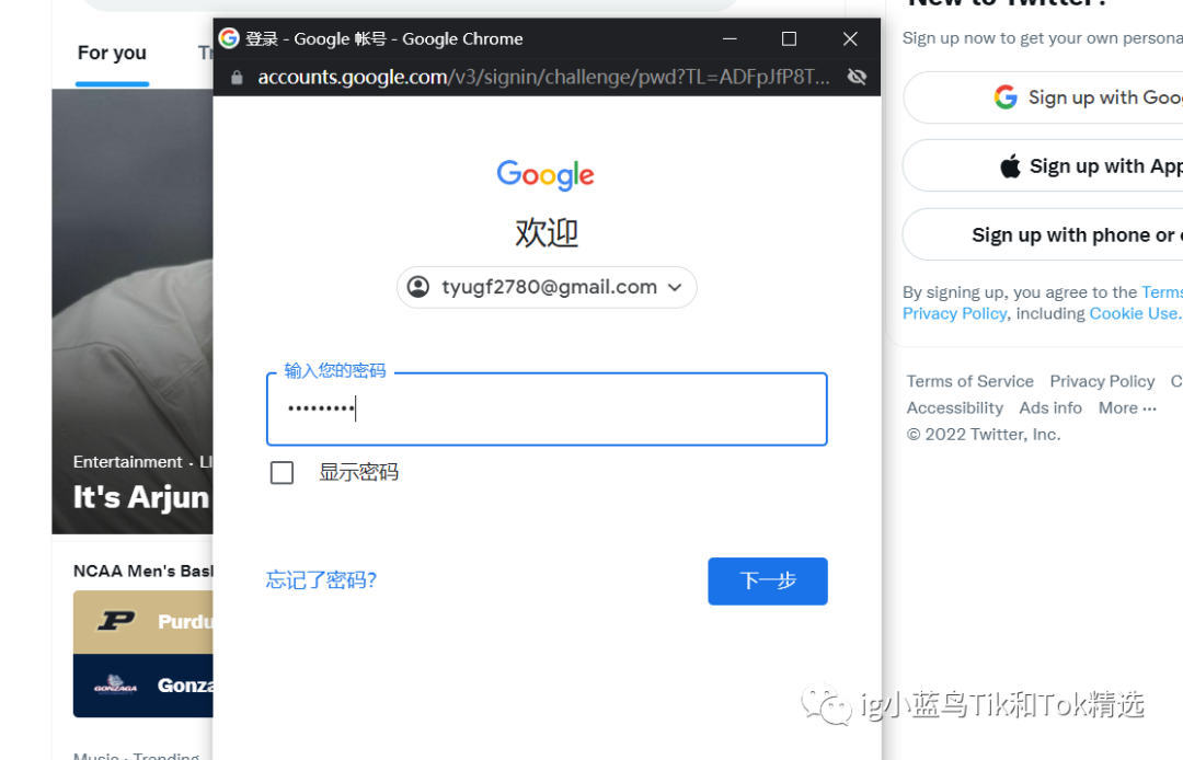 twitter官网版下载-twitter官网下载地址