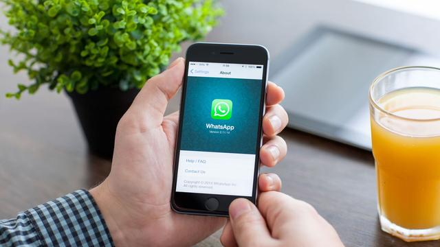 whatsapp官网下载-whatsapp官网下载app