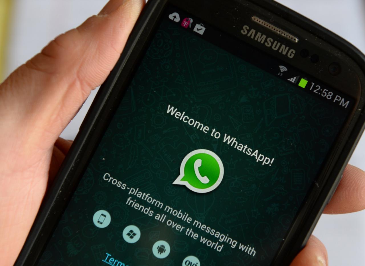 whatsapp检查新消息-whatsapp检查太多数字什么情况