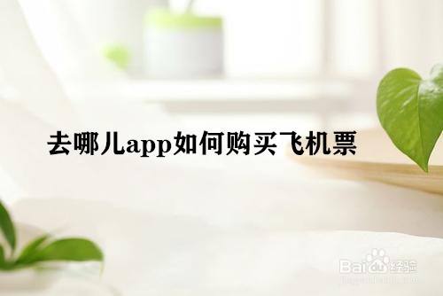 飞机app是干嘛用的-飞机app是干嘛用的看视频
