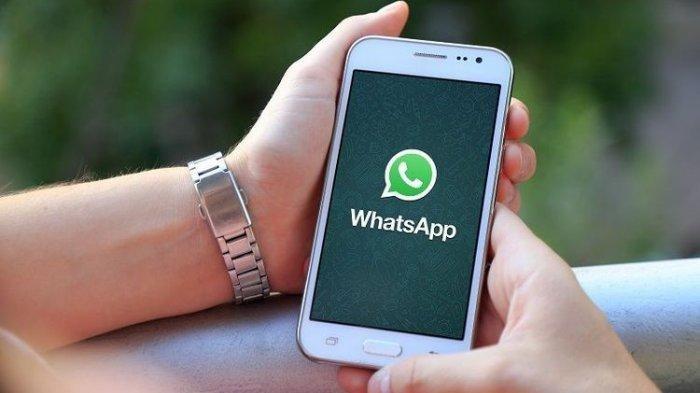 whatsapp安卓下载地址-whatsapp 安卓下载安装