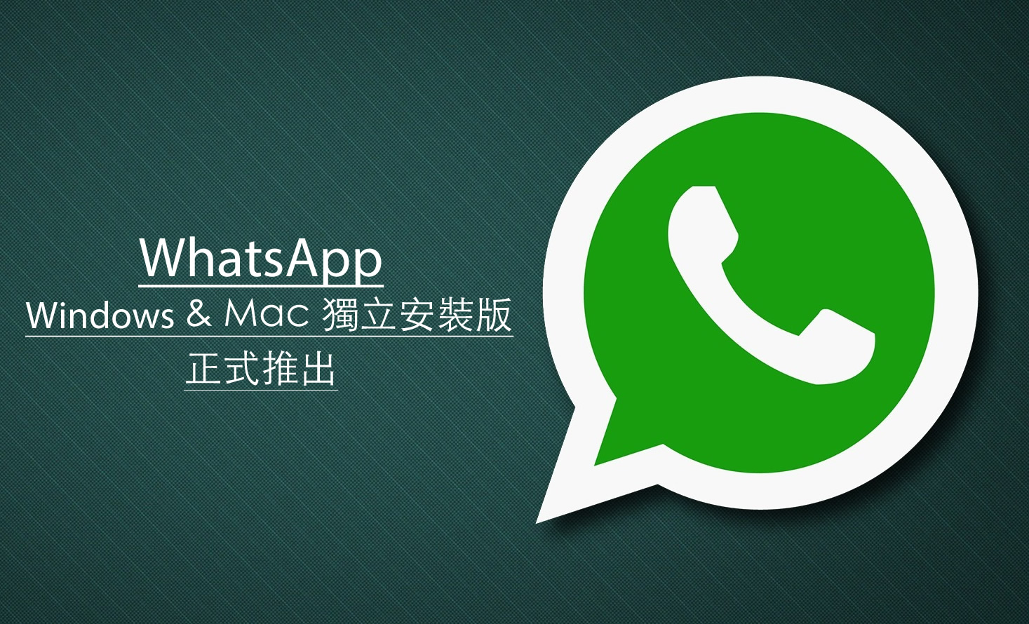 WhatsApp安卓下载-whatsapp安卓下载安装2023