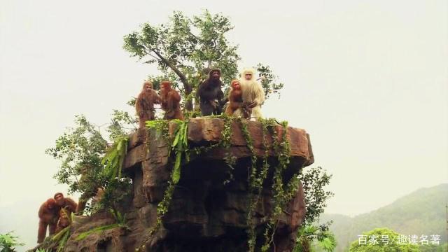 花果山电报猴的视频-花果山电报猴无消音视频