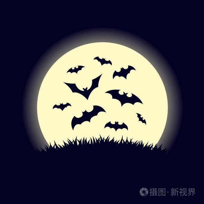 下载一个蝙蝠聊天-下载一个蝙蝠聊天的