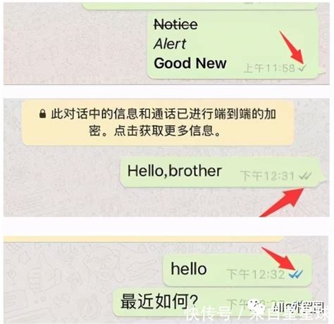 包含whatsapp中国手机号注册的词条