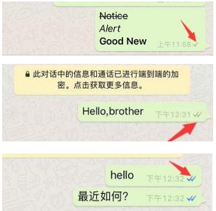 whatsapp用不了,一直说日期不对-whatsapp显示日期不正确,怎么解决