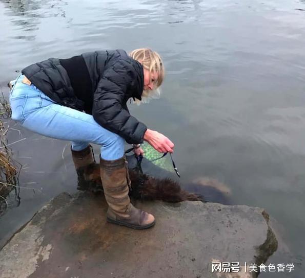 电报员口吐芬芳60秒的简单介绍