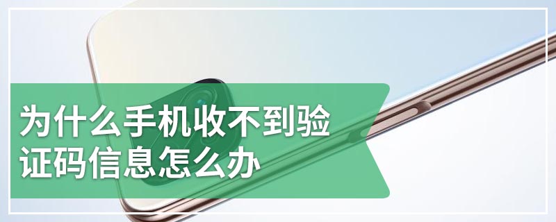 飞信收不到验证码-为什么我的飞信老是提示输入验证码