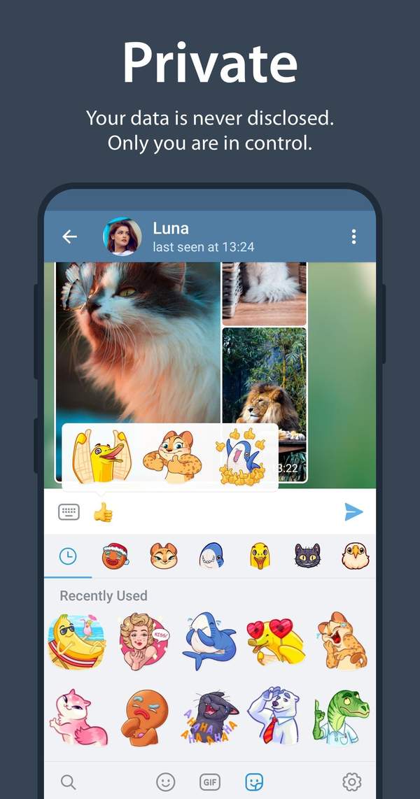 进口纸飞机app-进口纸飞机型号什么意思