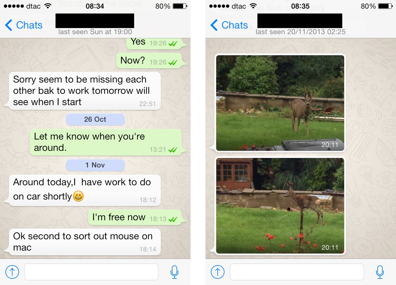 whatsapp官网入口2022-whatsapp official website
