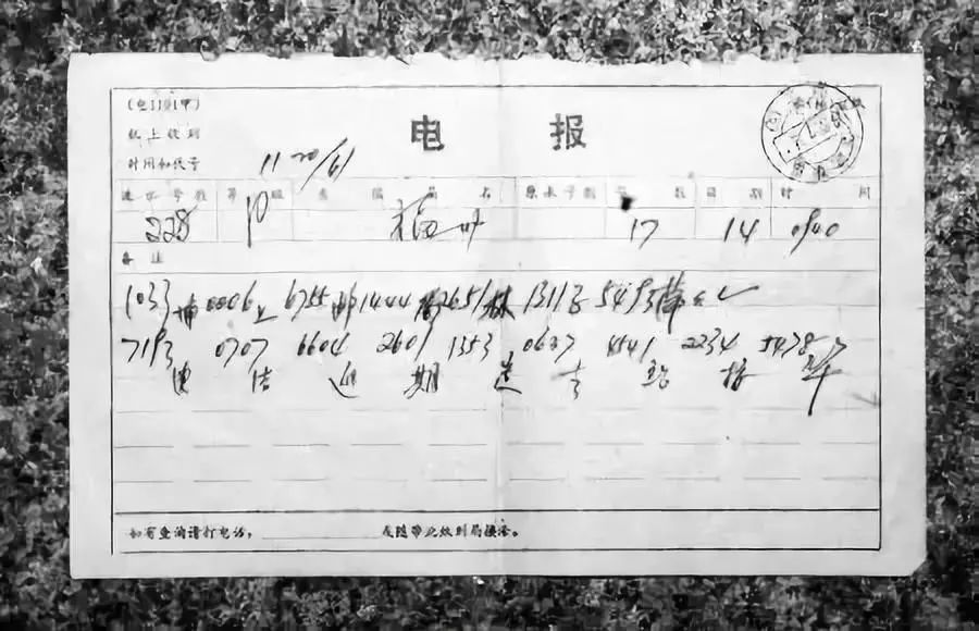 包含电报猴原视频真实台词的词条