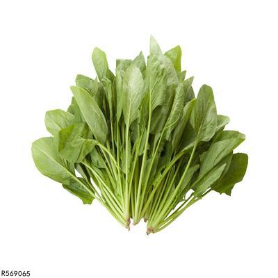 电报员职业选手-电报员职业选手工资多少