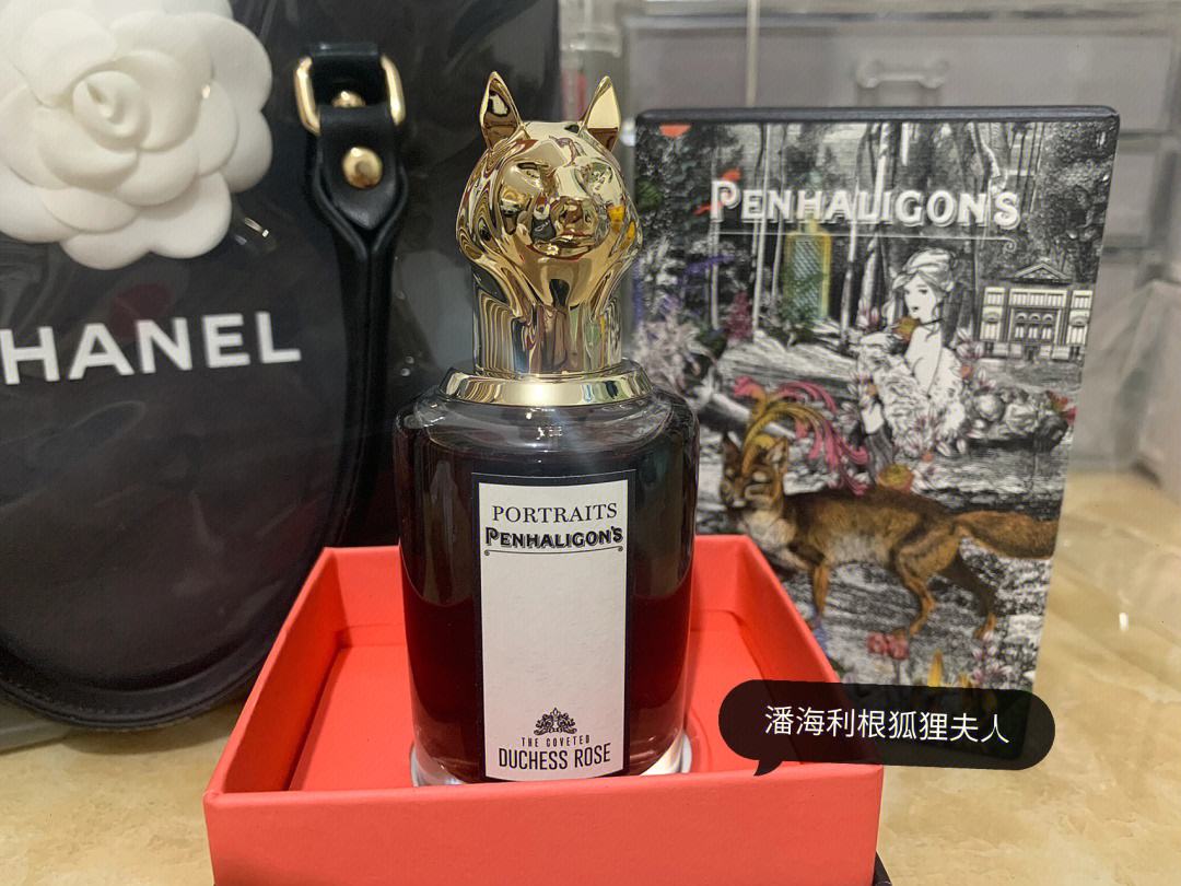 狐狸币是什么-狐狸币是什么样的