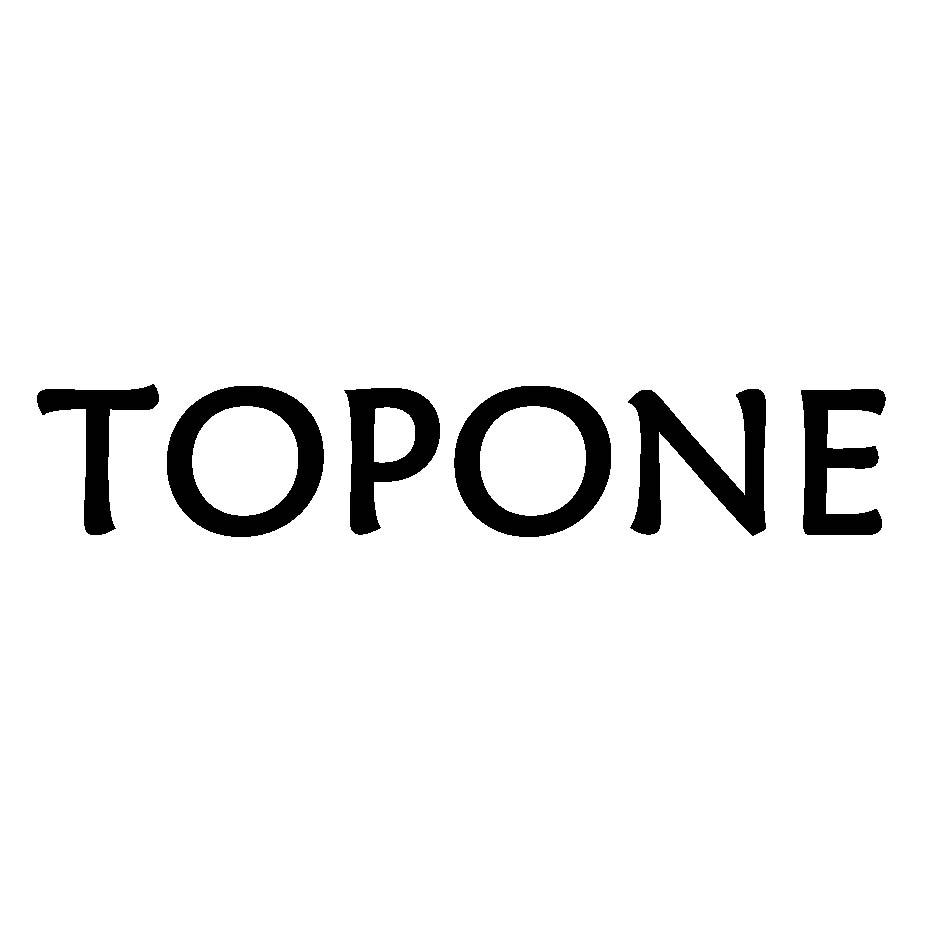 toptop下载安装-toptop下载安装安卓