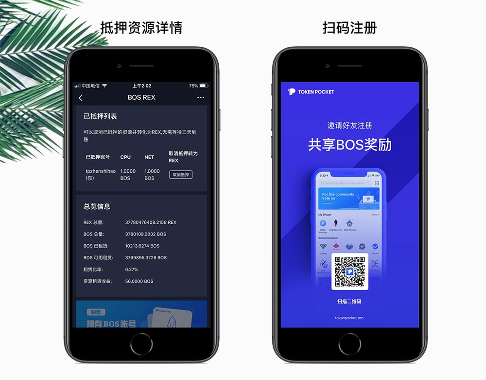tp钱包官方-TP钱包官方网下载