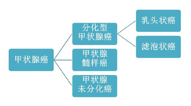 甲癌TG多少预示复发-甲癌tsh应保持到多少