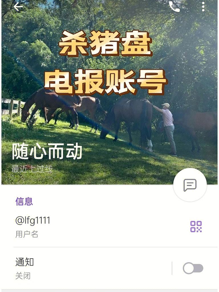 电报为什么不能私聊-电报不能给陌生人发信息