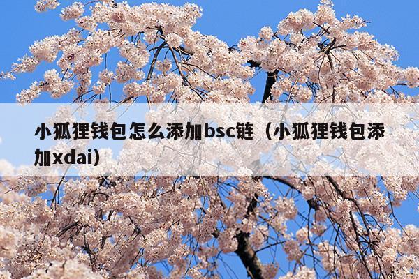 小狐狸钱包收费吗-小狐狸钱包资金能找回来吗