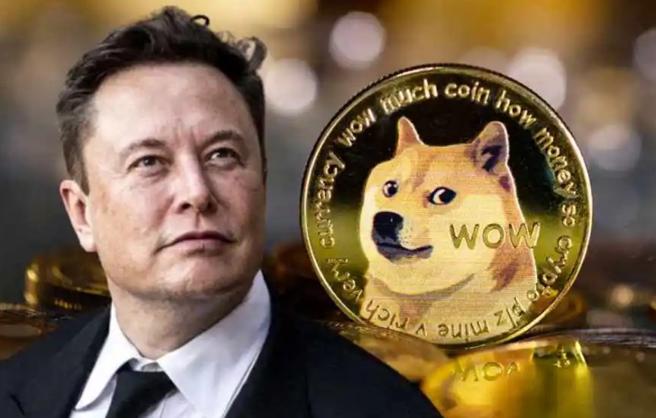 柴犬币未来发展前景-柴犬币还有上涨空间吗