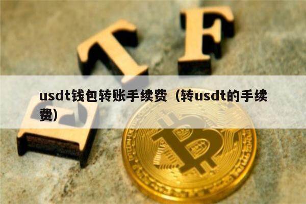 usdt别人怎么转给我-usdt转给别人可以起诉吗