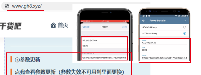 telegeram怎么样登陆-telegram怎么登陆进去2021