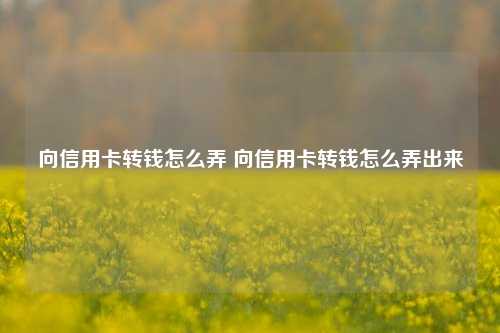 冷钱包的钱怎么转出来_冷钱包如何提现到银行卡