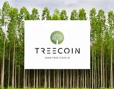 tokeneco官网下载