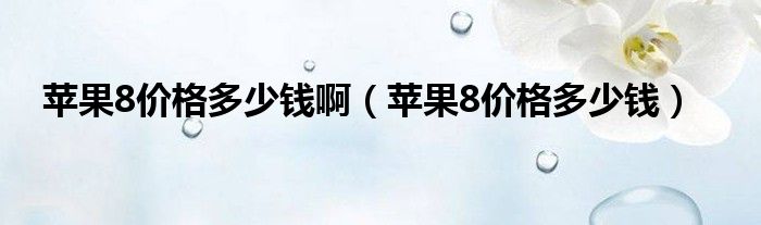 plus币现在多少钱一枚
