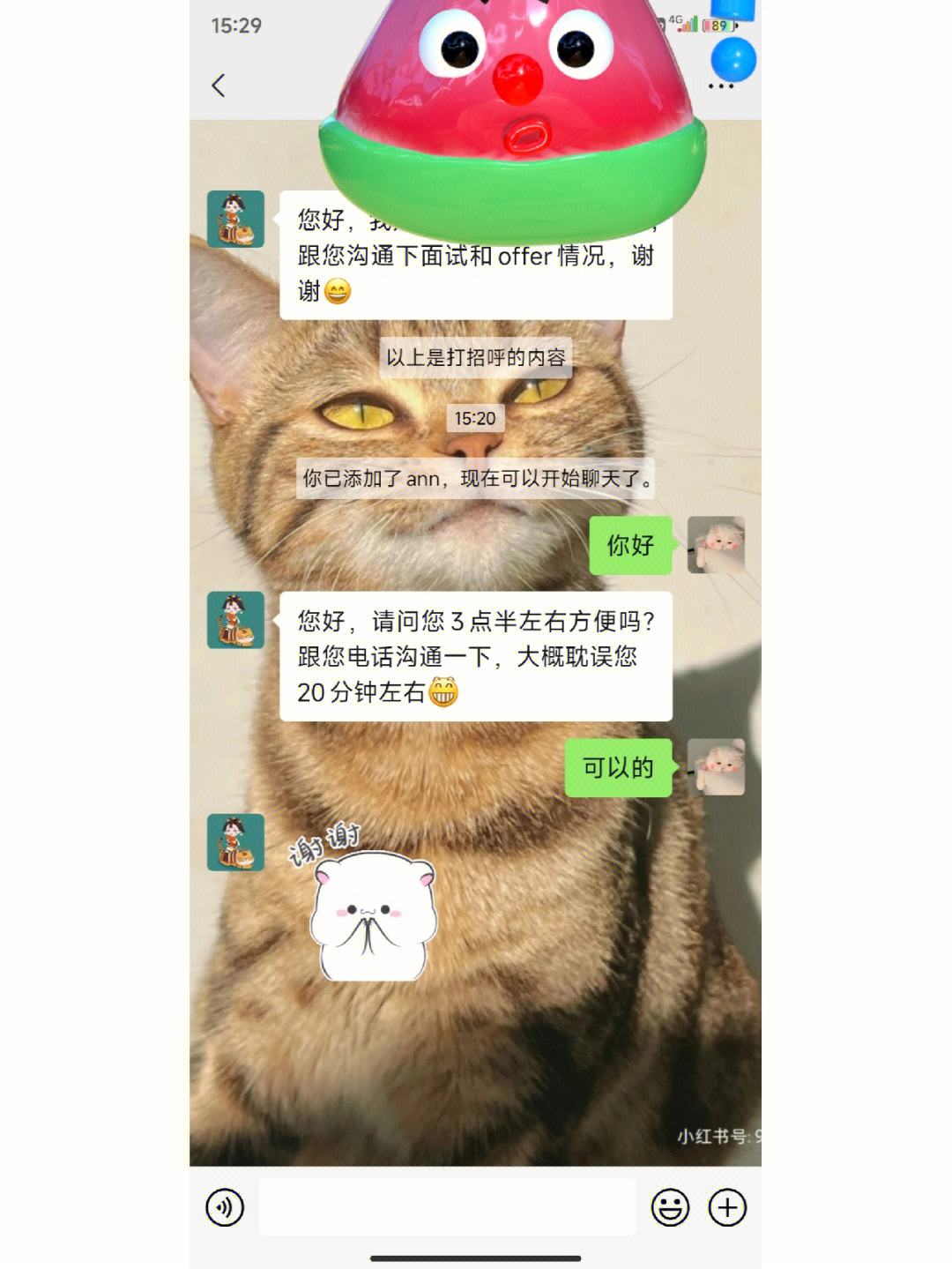 飞语聊天安全吗