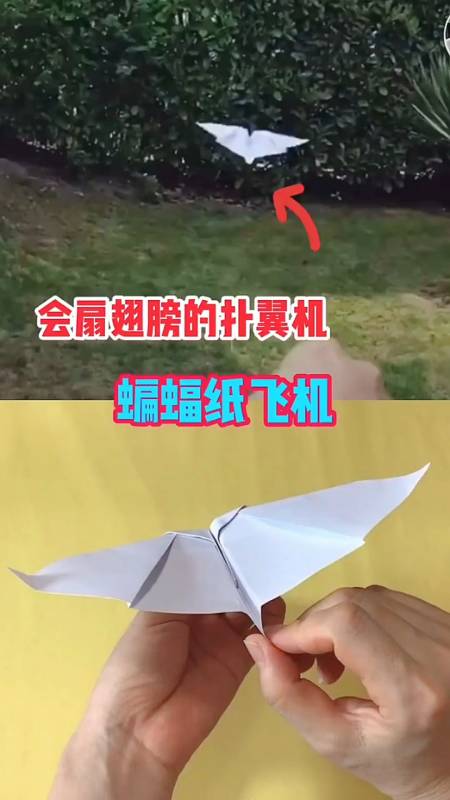 纸飞机参数2022