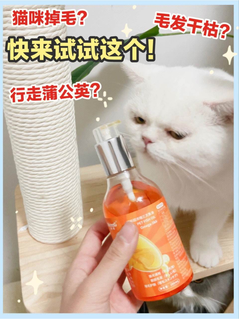营养学中的gl是什么意思