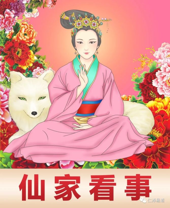 狐狸多开