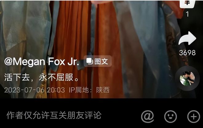 视频有骂人的话怎么将声音哔掉