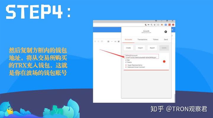 波场钱包如何找回密码,波场钱包密码忘了怎么办