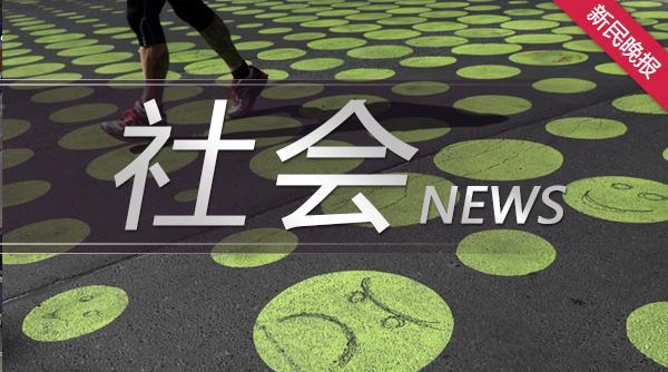 雪豹钱包app下载,雪豹app借款软件下载