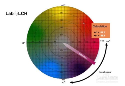 lab,laboratory的中文翻译