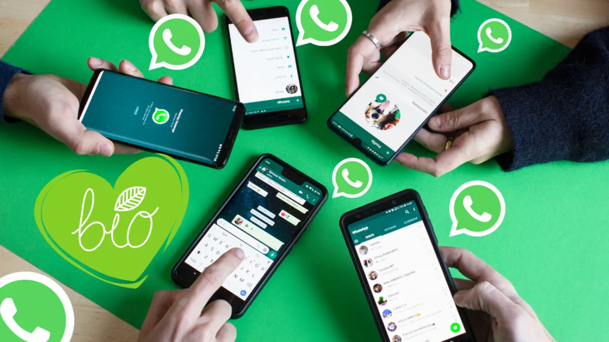 whatsapp官网入口,whatsapp for web