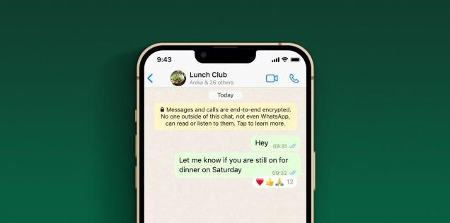 whatsapp发不了信息,whatsapp无法发送信息