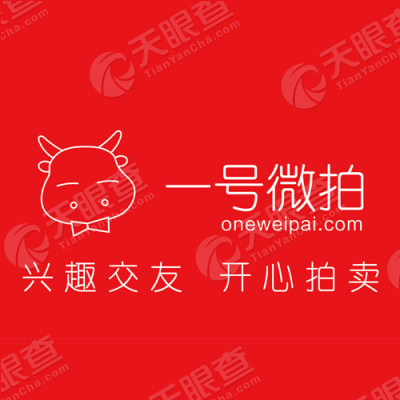 网上拍卖名词解释,什么是网上拍卖?它有哪些主要类型