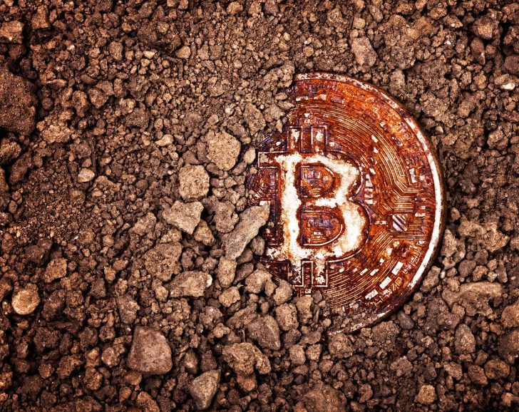 bittoken币,bittok币拓官网下载