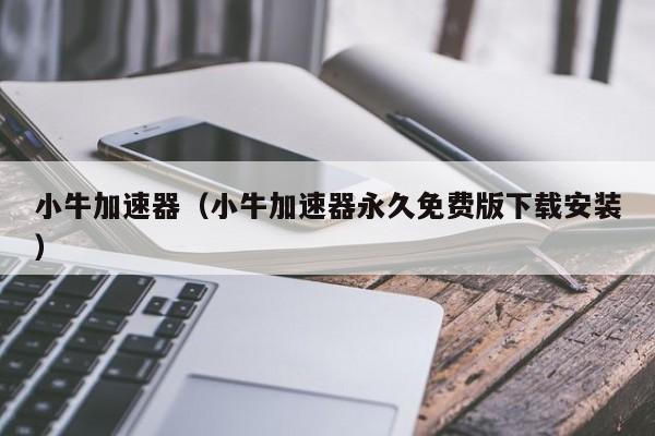 牛牛加速器app,国外vps 加速免费