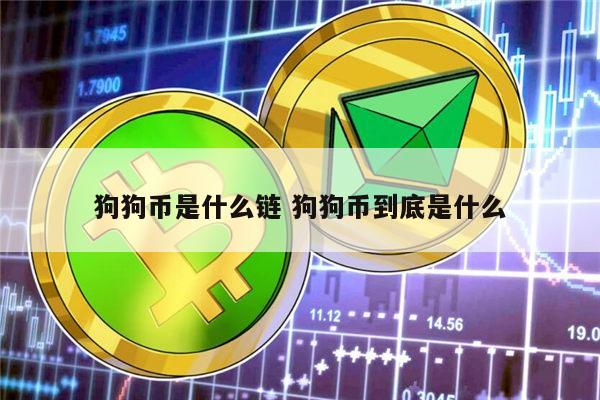 dogecoin狗狗币钱包,狗狗币钱包110版本里的币不见了