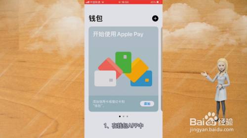 下载苹果钱包app,下载苹果钱包app图标